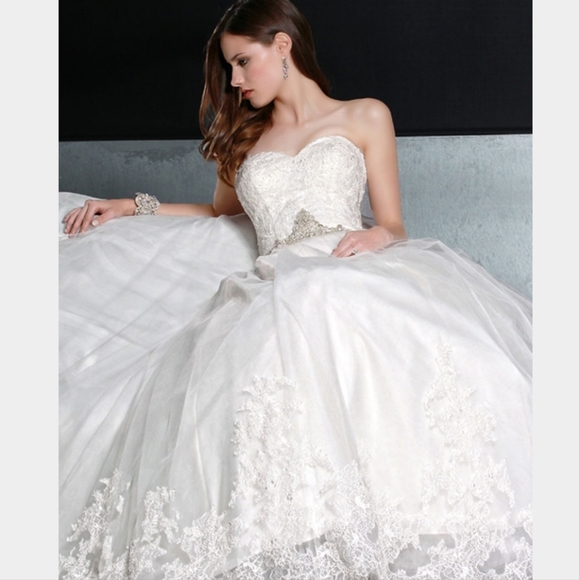 DaVinci Wedding Ballgown - Picture 2 of 12